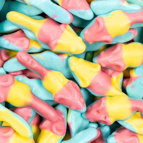 Close-up of colorful gummies allsorts with pink, yellow, and blue candy pieces.