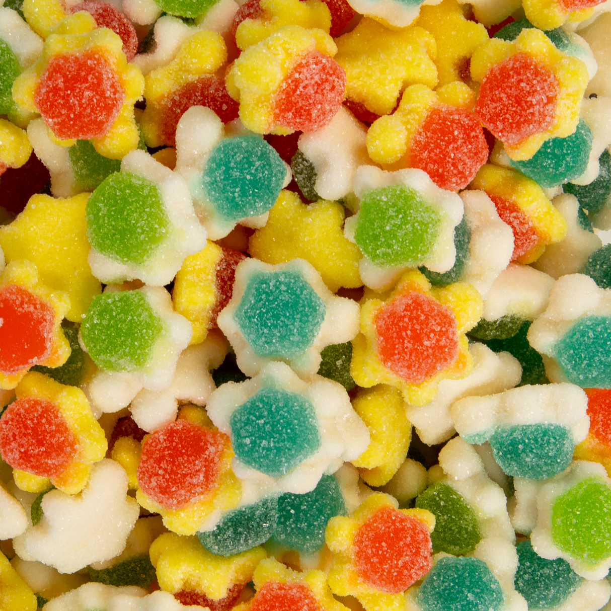 Sour Tortoise Gummy