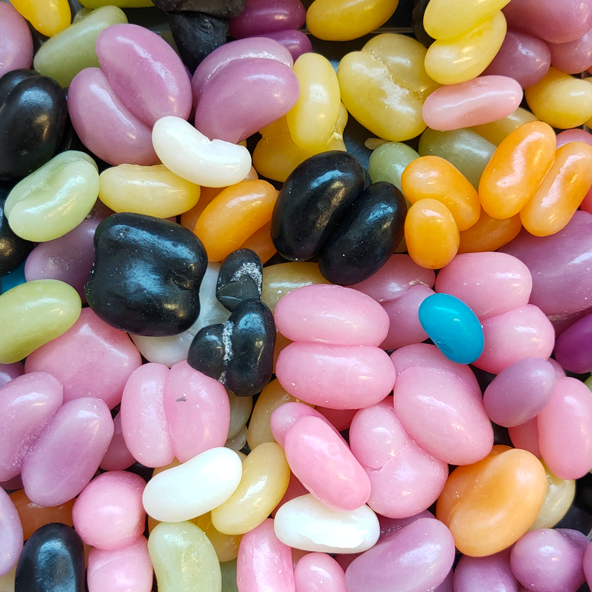 Jelly Beans Seconds (Manufacturer's Clearance)