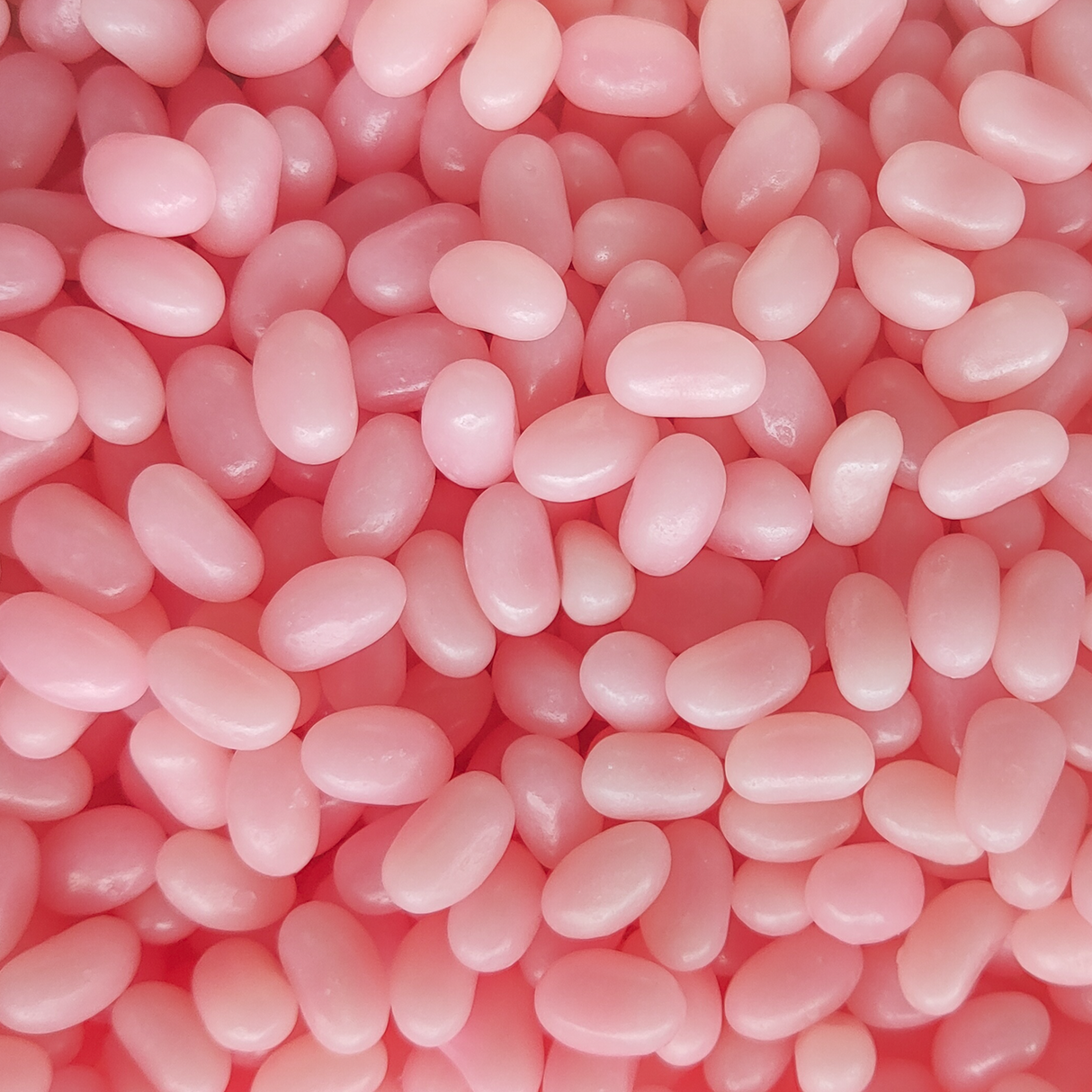 Jelly Beans (NZ Made Single Colour)